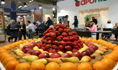 MAC FRUT FROM CESENA TO RIMINI - ITALY