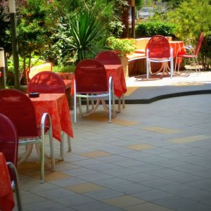 Conti Hotel - garden