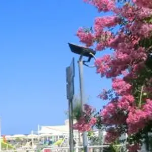 entrance to amba alagi avenue